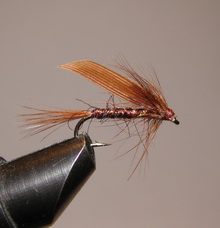 ���� ������ Wet fly 